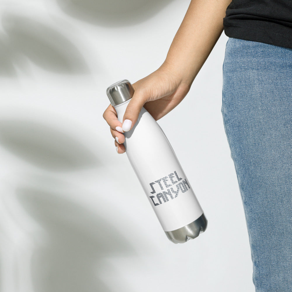 Stainless Steel Water Bottle